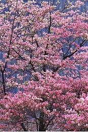 《文明7》参加未来游戏展 22日公开超20分钟实机